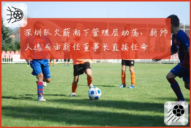深圳队欠薪潮下管理层动荡,新帅人选或由新任董事长直接任命